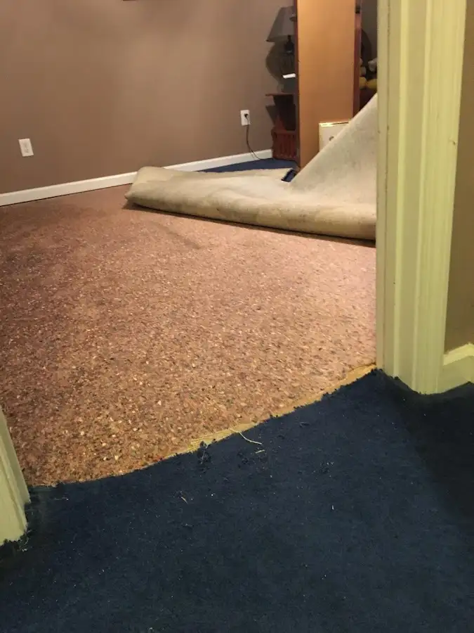 Carpet pad removal revealing water damage during Drying & Dehumidification in Northville