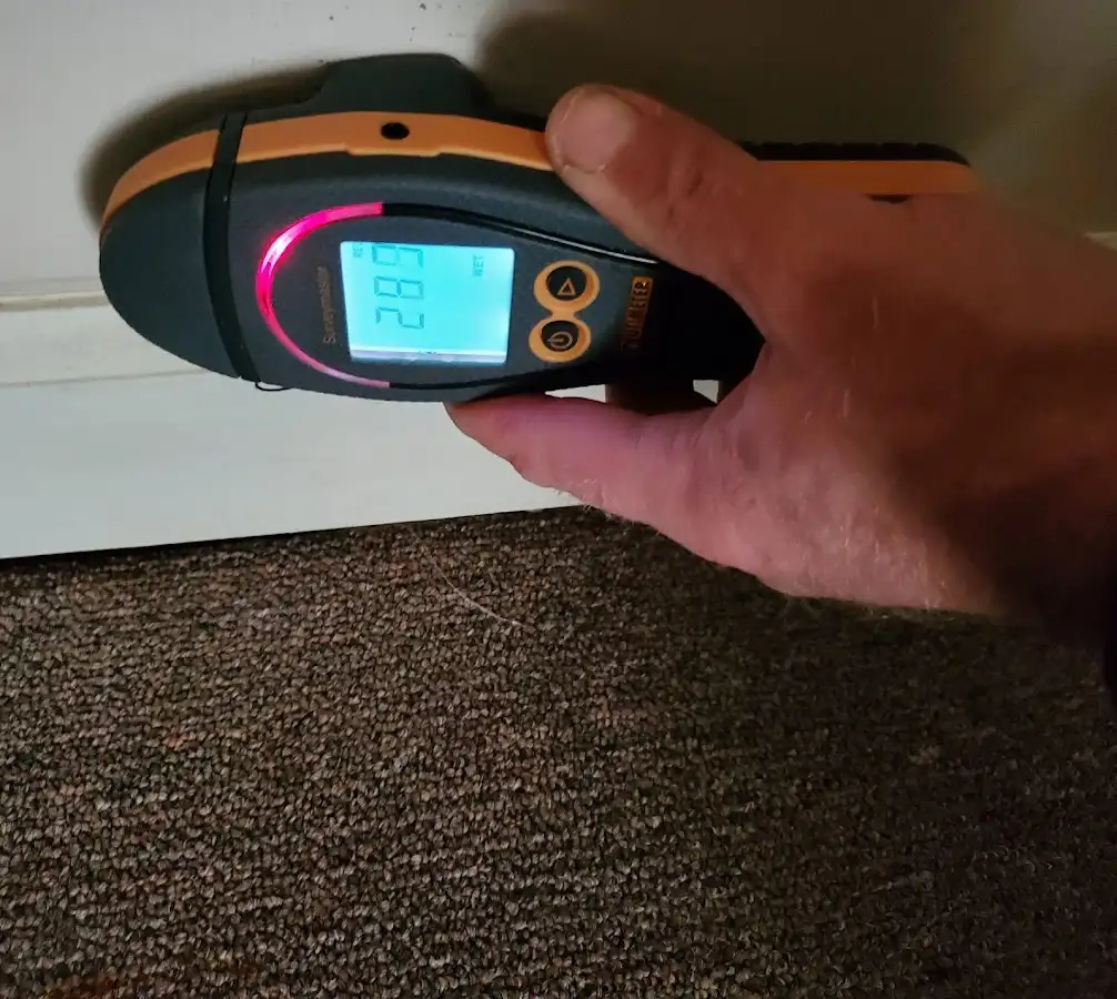 Moisture detection at baseboard during Sewage Cleanup & Sanitation in Northville